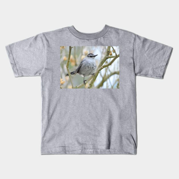 Catbird on Rose of Sharon branch Kids T-Shirt by LaurieMinor